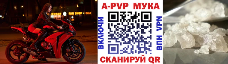 Купить где  Волхов  A PVP СК 