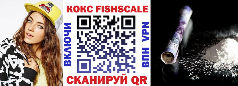 Купить закладки  Волхов  COCAIN Fish Scale 