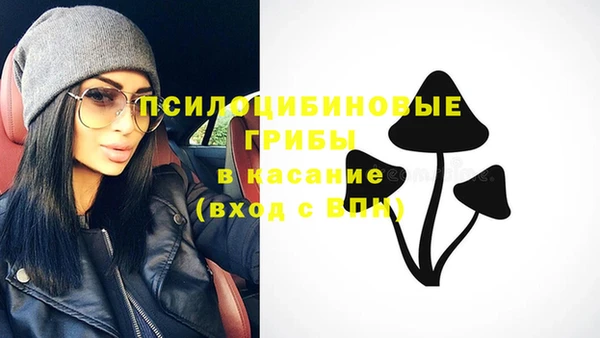 ешки Карпинск