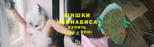 стаф Каменск-Шахтинский