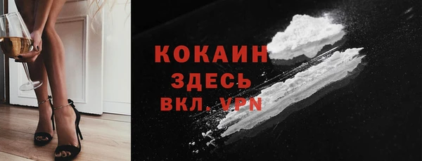 дживик Каменка