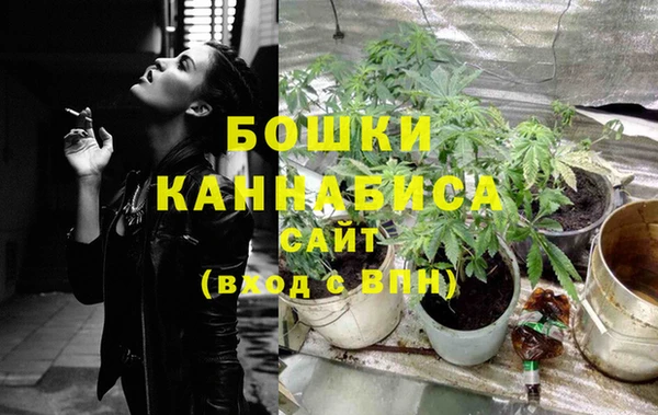 PSILOCYBIN Касимов