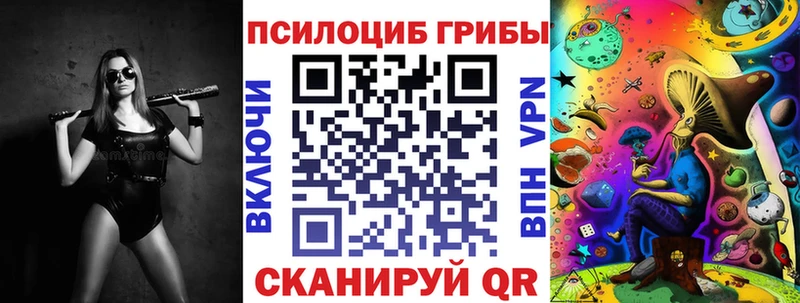 Псилоцибиновые грибы Psilocybe  Купить где  Волхов 
